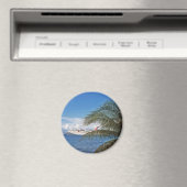 Giften uit het Caribisch gebied Magneet (Insitu (Vaatwasser))