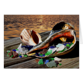 Giften van de Kaarten van het Zee!