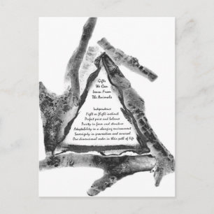 Giften van dieren briefkaart