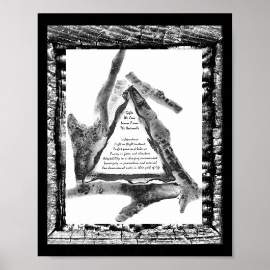 Giften van dieren poster (Voorkant)