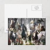 Giften voor zigeunerpaarden briefkaart (Voorkant / Achterkant)