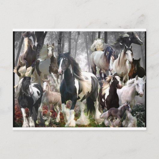 Giften voor zigeunerpaarden briefkaart (Voorkant)