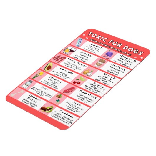 Giftig voedsel voor honden Koelkast Magnet Magneet (Linkerzijde)