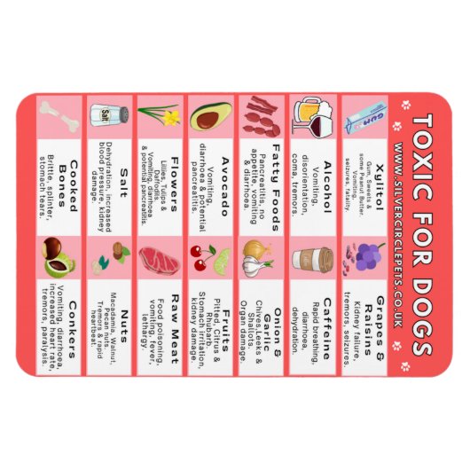 Giftig voedsel voor honden Koelkast Magnet Magneet (Horizontaal)