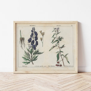 Giftige Planten   Charlotte Mary Yonge Poster