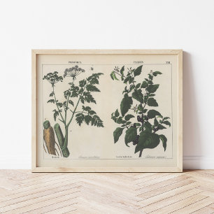 Giftige Planten   Charlotte Mary Yonge Poster