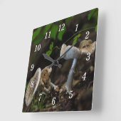 Giftige schoonheid wandklok (Hoek)