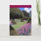 Giftige xxxx_2-topiary kaart (Achterkant)