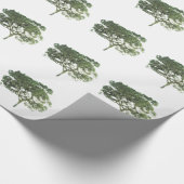 GIFTWRAPPING PAPIER ART&DESIGN STIJLEN (Hoek)