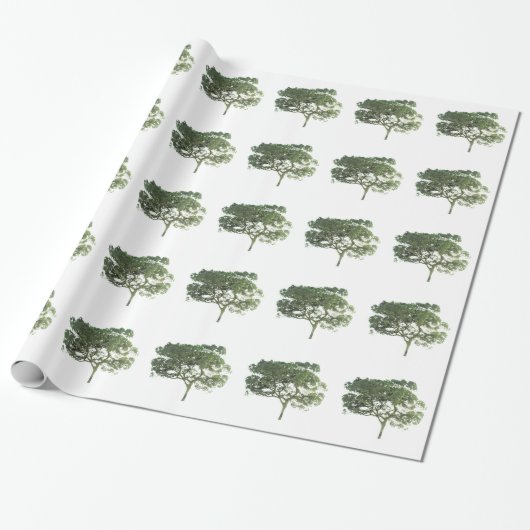 GIFTWRAPPING PAPIER ART&DESIGN STIJLEN (Uitgerold)