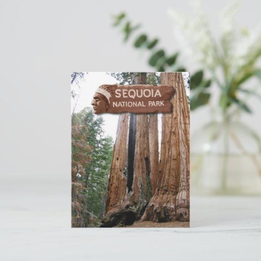 Gigante Sequoia-bomen, Nationaal Park Sequoia, CA Briefkaart (Staand voorkant)