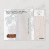 Gigante Sequoia-bomen, Nationaal Park Sequoia, CA Briefkaart (Achterkant)