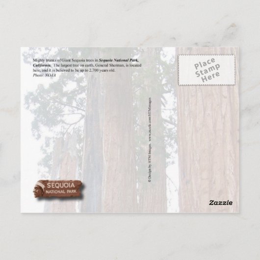 Gigante Sequoia-bomen, Nationaal Park Sequoia, CA Briefkaart (Achterkant)