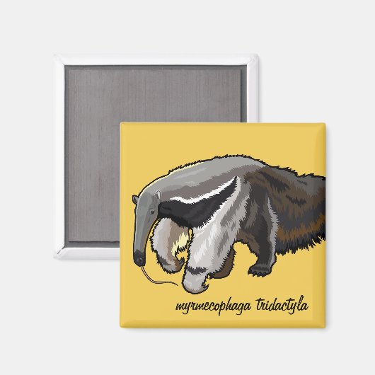 gigantisch magneet (Voorkant / Achterkant)