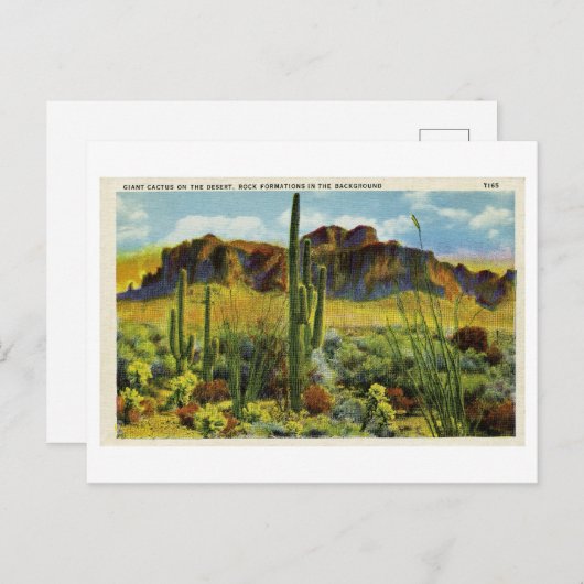 Gigantische Cactus in het woestijnlandschap van he Briefkaart (Voorkant / Achterkant)