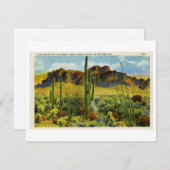 Gigantische Cactus in het woestijnlandschap van he Feestdagenkaart (Voorkant / Achterkant)