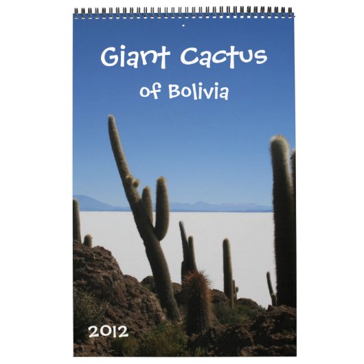 gigantische cactus kalender 2012 (Hoes)