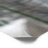 Gigantische ijsvogel aan de rand poster (Hoek)