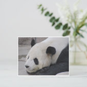 gigantische panda briefkaart (Staand voorkant)