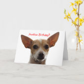 GiGi, Een andere Verjaardag? Kaart (Gele Bloem)