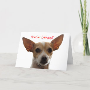 GiGi, Een andere Verjaardag? Kaart