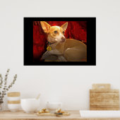 Gigi Poster (Keuken)