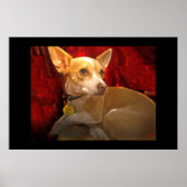 Gigi Poster (Voorkant)