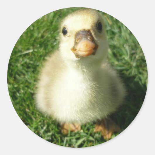 Gijs Ronde Sticker (Voorkant)