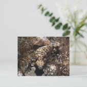 Gila Briefkaart (Staand voorkant)