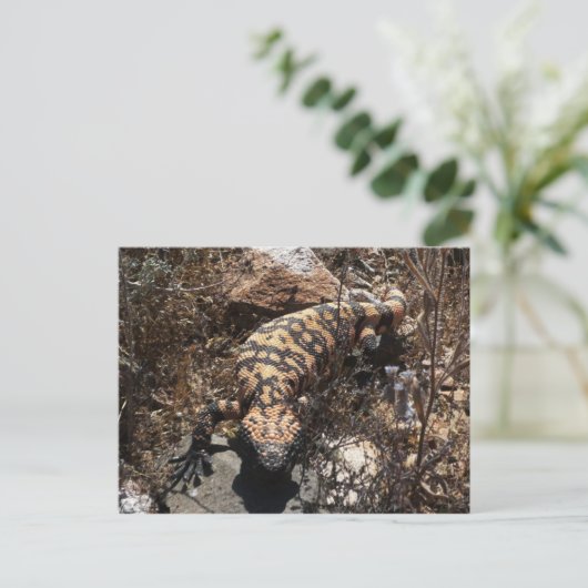 Gila Briefkaart (Staand voorkant)