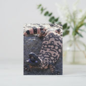 Gila Monster Briefkaart (Staand voorkant)