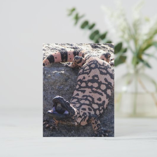 Gila Monster Briefkaart (Staand voorkant)