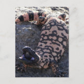Gila Monster Briefkaart (Voorkant)