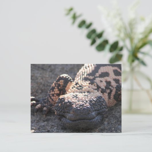 Gila Monster Briefkaart (Staand voorkant)