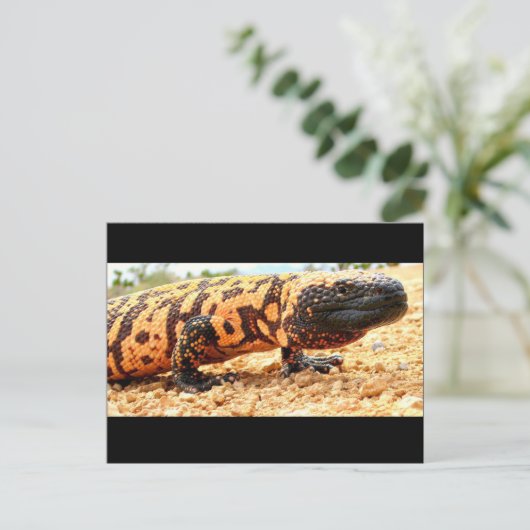 Gila monster briefkaart (Staand voorkant)