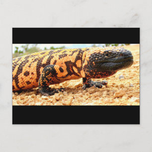 Gila monster briefkaart