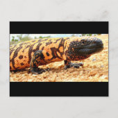 Gila monster briefkaart (Voorkant)