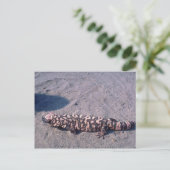 Gila Monster Lizard Briefkaart (Staand voorkant)