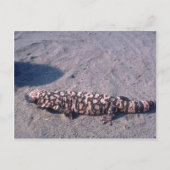 Gila Monster Lizard Briefkaart (Voorkant)