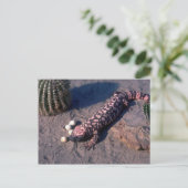 Gila Monster Lizard eetwoestijn Quail-eieren Briefkaart (Staand voorkant)
