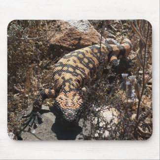 Gila Monster Muismat