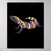 Gila Monster  Poster (Voorkant)