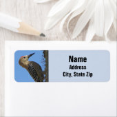 Gila Woodpecker Foto Desert Southwest Bird Etiket (Insitu)