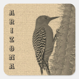Gila Woodpecker klingt naar Saguaro Cactus Arizona Vierkante Sticker