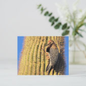 Gila Woodpecker op Saguaro Cactus in Arizona Briefkaart (Staand voorkant)