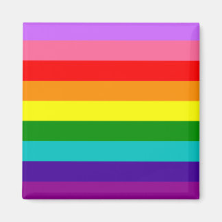 Gilbert Baker’s 9-Stripe Rainbow Flag  Magneet