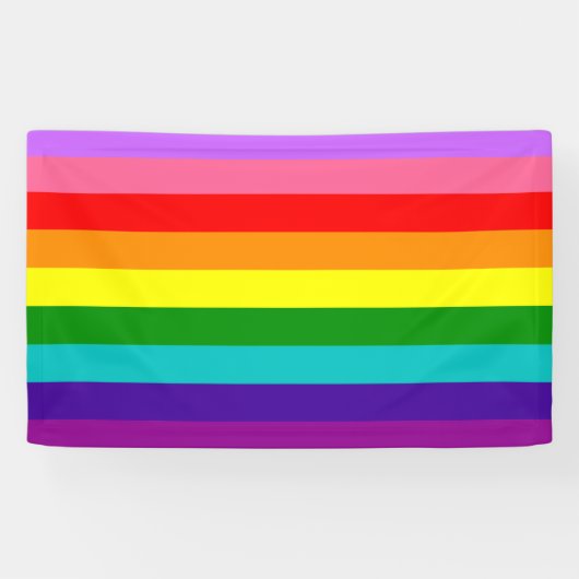 Gilbert Baker’s 9-Stripe Rainbow Flag  Spandoek (Horizontaal)