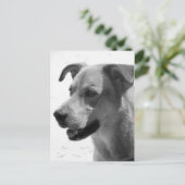 Gilbert Briefkaart (Staand voorkant)