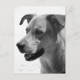 Gilbert Briefkaart