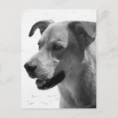 Gilbert Briefkaart (Voorkant)